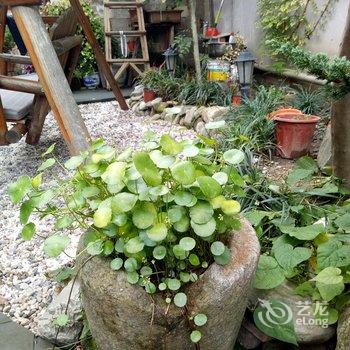 黄山间隔年青年旅舍酒店提供图片