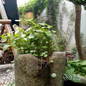 黄山间隔年青年旅舍酒店提供图片