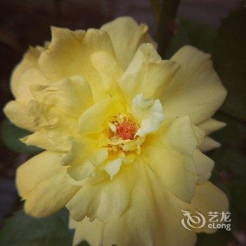 黄山间隔年青年旅舍酒店提供图片