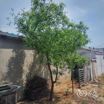 葫芦岛旭阳家庭宾馆酒店提供图片