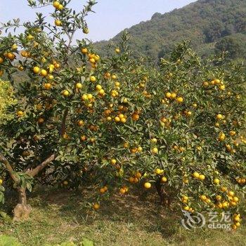 海宁白鹤山邻家小歇住宿酒店提供图片