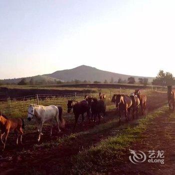 承德丰宁景山农家院酒店提供图片