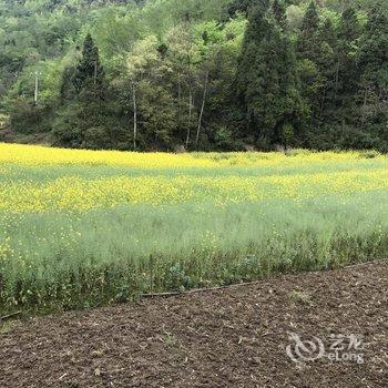 绵阳宝哥农家乐酒店提供图片