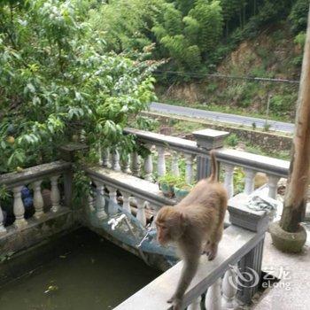 安吉花涧竹居民宿酒店提供图片