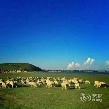 沽源天鹅湖田园农庄酒店提供图片