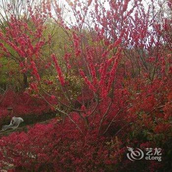 罗田罗马宾馆酒店提供图片