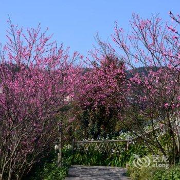 元阳稻梦蜗居客栈酒店提供图片