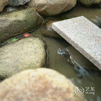 安吉若来民宿酒店提供图片