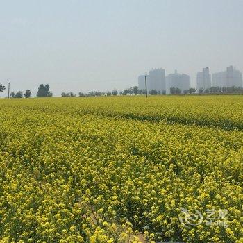 葫芦岛乐乐海鲜度假村酒店提供图片