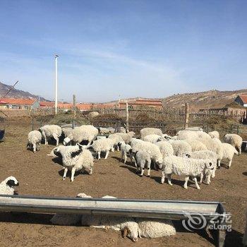 赤峰永太假日宾馆酒店提供图片