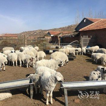 赤峰永太假日宾馆酒店提供图片