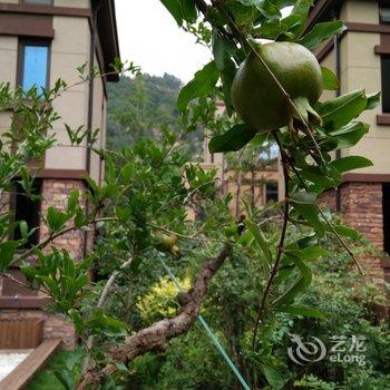 泰安万道山居客栈酒店提供图片