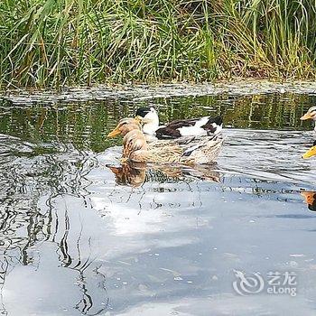 泸沽湖纳西青年旅社酒店提供图片