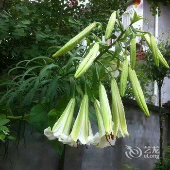 邛崃香椿休闲农庄酒店提供图片