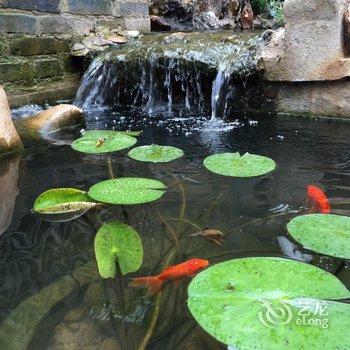 石屏水云居客栈酒店提供图片