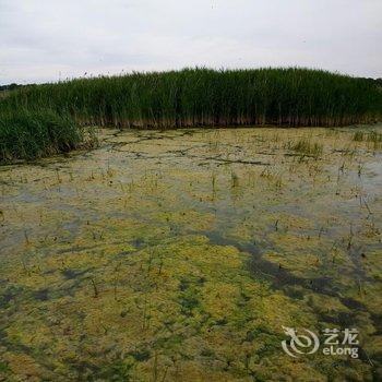 张北宏祥农家院酒店提供图片