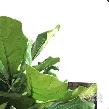 上海君熏公寓酒店提供图片