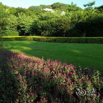 珠海候鸟海景青年旅舍酒店提供图片