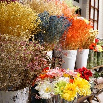 崇明海上花岛生态度假酒店酒店提供图片