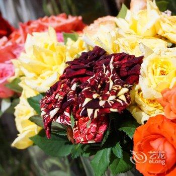 崇明海上花岛生态度假酒店酒店提供图片
