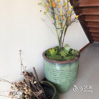 崇明海上花岛生态度假酒店酒店提供图片