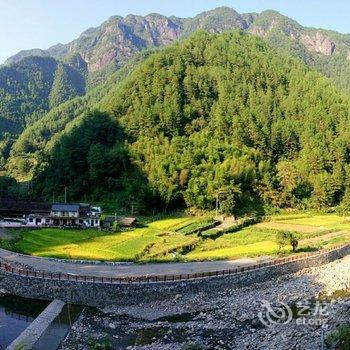 景宁梧桐树下民宿客栈酒店提供图片