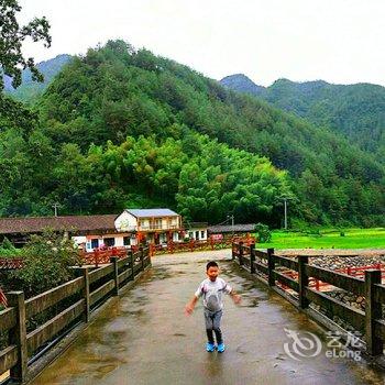 景宁梧桐树下民宿客栈酒店提供图片