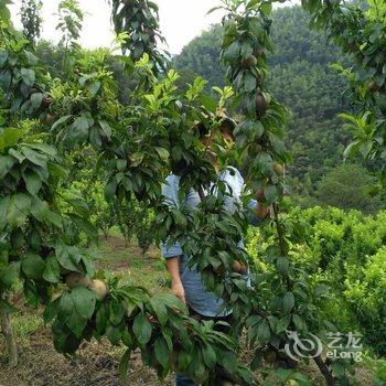 磐安黄四娘农家乐酒店提供图片