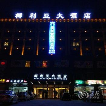 海口椰利亚大酒店高铁东站店酒店提供图片