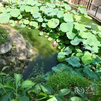 宫保第酒店(厦门鼓浪屿鹿礁路5号店)酒店提供图片