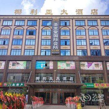 海口椰利亚大酒店高铁东站店酒店提供图片