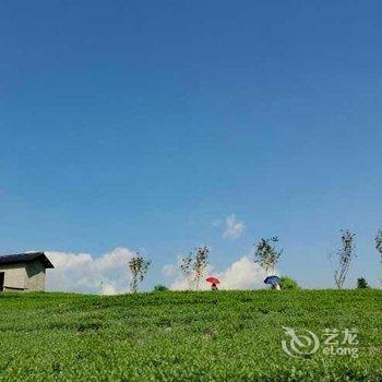 松阳农家小院民宿酒店提供图片