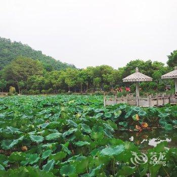 柳州等你来青年小舍(二店)酒店提供图片