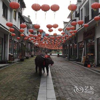 丽水云和漫云居民宿酒店提供图片