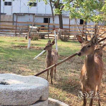 航天三院兴城交流中心酒店提供图片