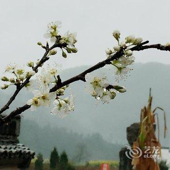 休宁野房子艺术体验住宿酒店提供图片