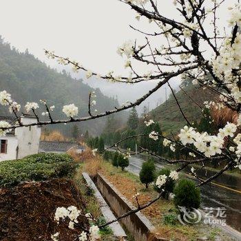 休宁野房子艺术体验住宿酒店提供图片