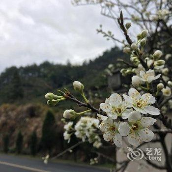 休宁野房子艺术体验住宿酒店提供图片