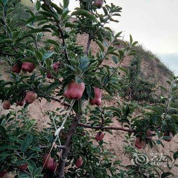 天水麦积山悠然农家乐酒店提供图片