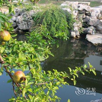 苏州青普皇家驿栈酒店提供图片