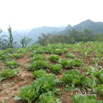 神农架娴逸山庄酒店提供图片