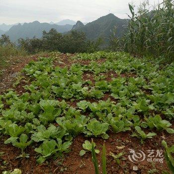 神农架娴逸山庄酒店提供图片