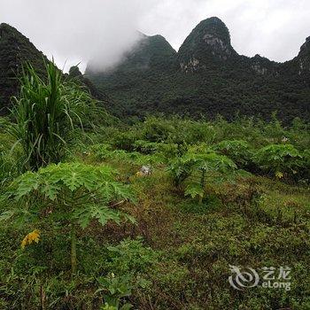 英德荷塘月色庄园酒店提供图片