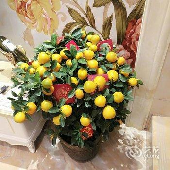 广州皇冠温泉别墅酒店提供图片