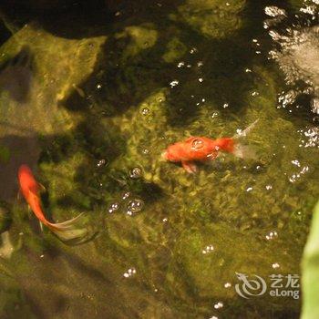 大理悦膳花园客栈酒店提供图片