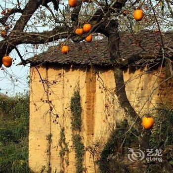 丽水旅安居民宿酒店提供图片