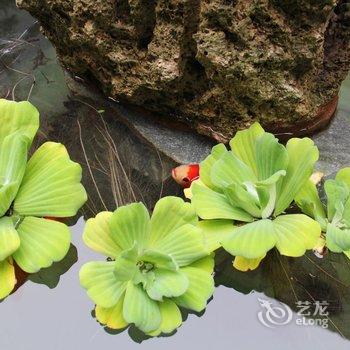 邛崃江西会馆酒店提供图片