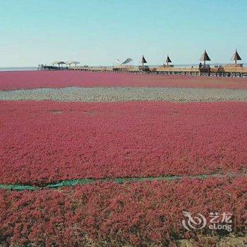 盘锦红海滩冮子农家院酒店提供图片