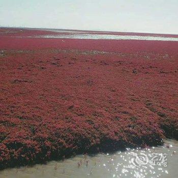 盘锦红海滩冮子农家院酒店提供图片