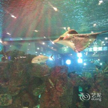重庆解放碑时代青年旅社酒店提供图片